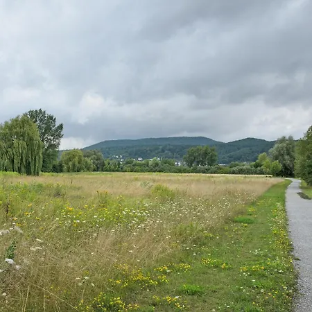 Storchenblick