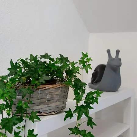 Storchenblick Guest house 3*